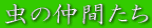 ̒Ԃ