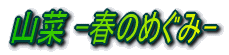 R -t̂߂- 