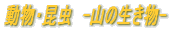 E@-R̐- 