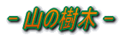 R̎