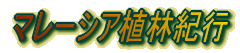 }[VAAыIs